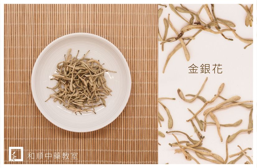 【和順中藥教室】金銀花