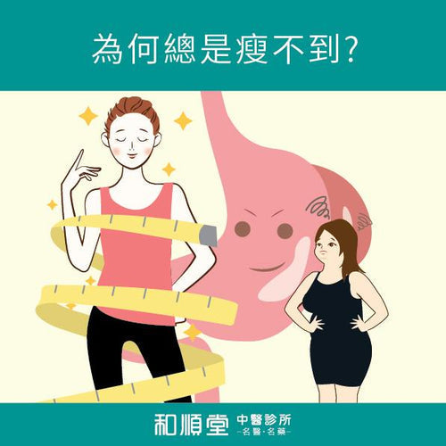 【和順資訊速遞】 減肥不瘦是脾胃虛惹的禍